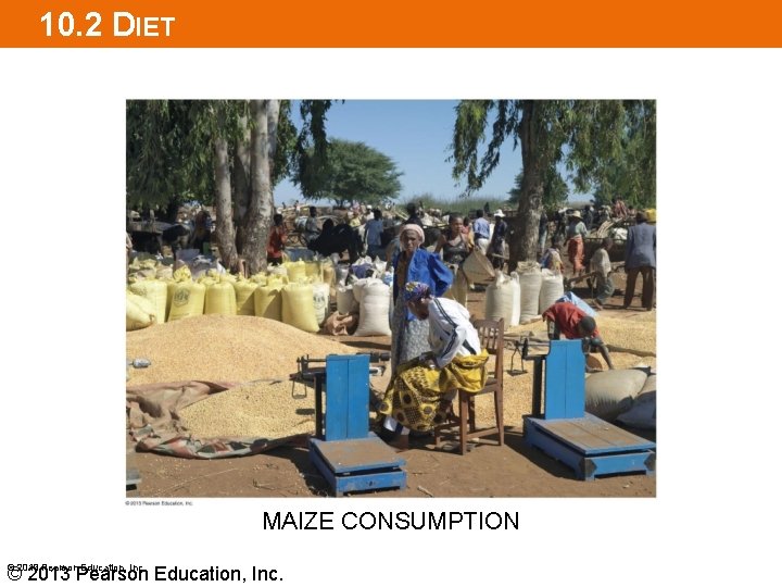 10. 2 DIET MAIZE CONSUMPTION © 2013 Pearson Education, Inc. 