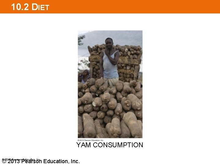 10. 2 DIET YAM CONSUMPTION © 2013 Pearson Education, Inc. 