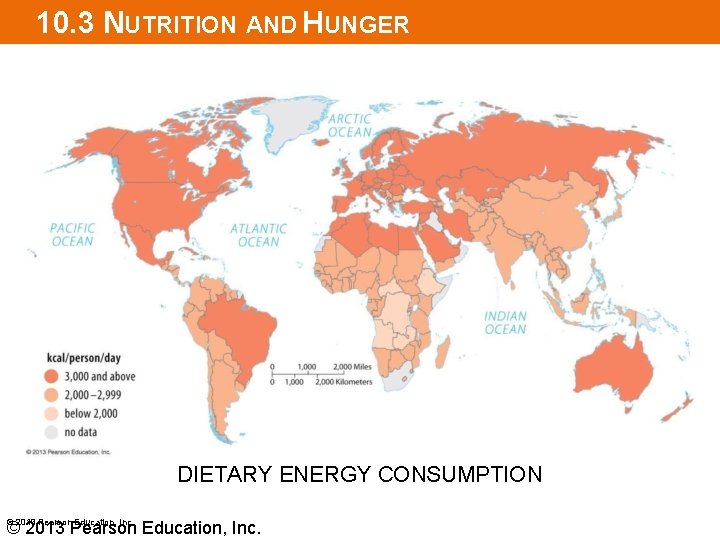 10. 3 NUTRITION AND HUNGER DIETARY ENERGY CONSUMPTION © 2013 Pearson Education, Inc. 