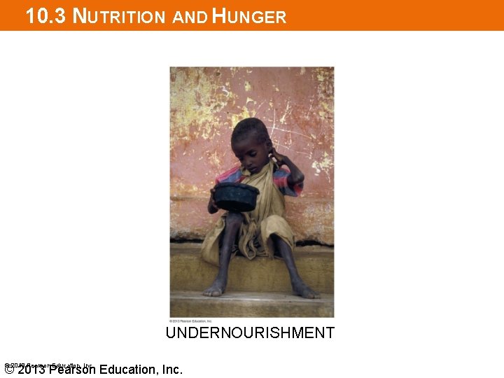 10. 3 NUTRITION AND HUNGER UNDERNOURISHMENT © 2013 Pearson Education, Inc. 