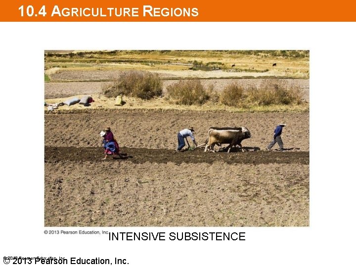 10. 4 AGRICULTURE REGIONS INTENSIVE SUBSISTENCE © 2013 Pearson Education, Inc. 