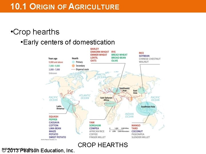 10. 1 ORIGIN OF AGRICULTURE • Crop hearths • Early centers of domestication ©