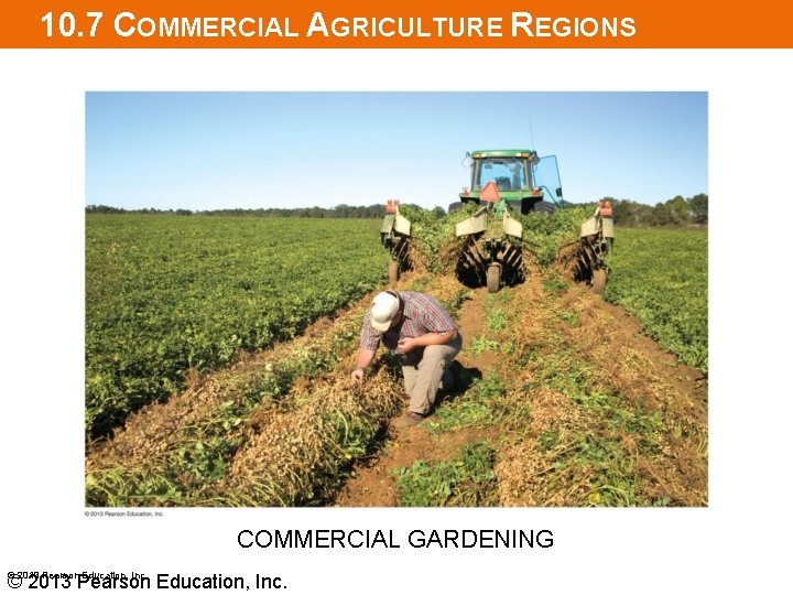 10. 7 COMMERCIAL AGRICULTURE REGIONS COMMERCIAL GARDENING © 2013 Pearson Education, Inc. 