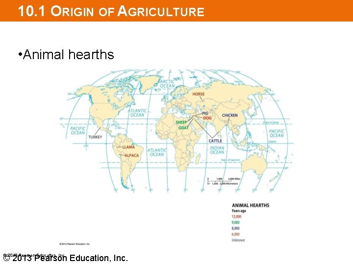 10. 1 ORIGIN OF AGRICULTURE • Animal hearths © 2013 Pearson Education, Inc. 