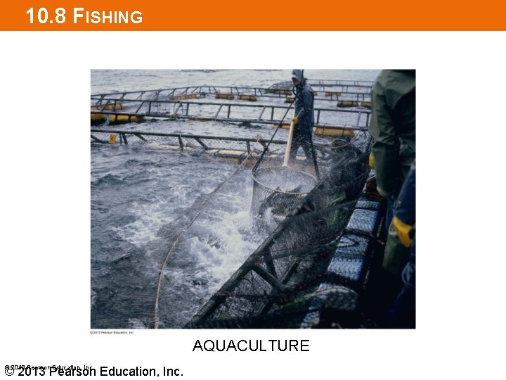 10. 8 FISHING AQUACULTURE © 2013 Pearson Education, Inc. 