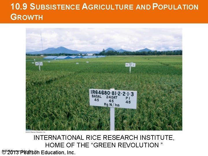10. 9 SUBSISTENCE AGRICULTURE AND POPULATION GROWTH INTERNATIONAL RICE RESEARCH INSTITUTE, HOME OF THE