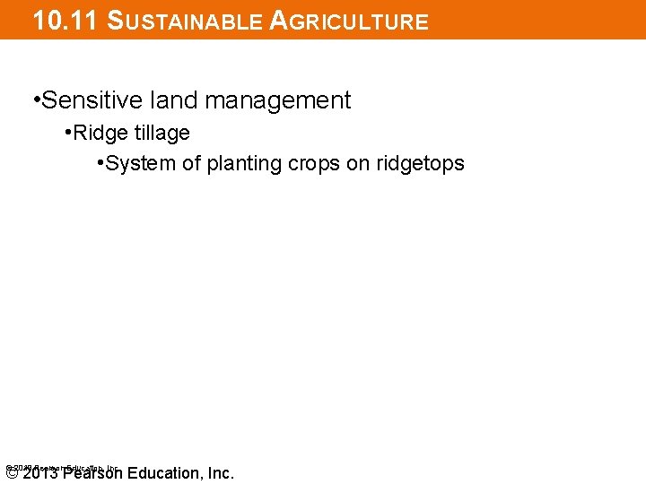 10. 11 SUSTAINABLE AGRICULTURE • Sensitive land management • Ridge tillage • System of