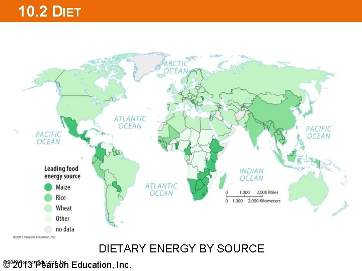 10. 2 DIETARY ENERGY BY SOURCE © 2013 Pearson Education, Inc. 