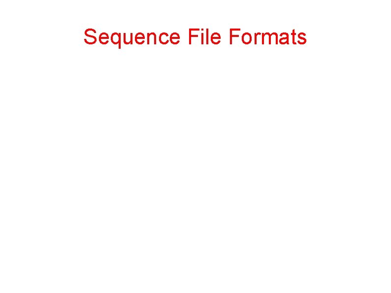 Sequence File Formats 