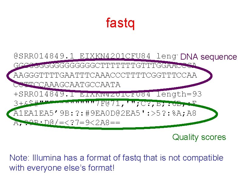 fastq @SRR 014849. 1 EIXKN 4201 CFU 84 length=93 DNA sequence GGGGGGGGCTTTTTTTGGAACCGA AAGGGTTTTGAATTTCAAACCCTTTTCGGTTTCCAA CCTTCCAAAGCAATGCCAATA