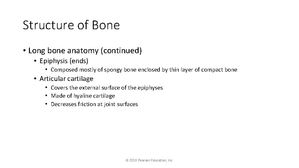 Structure of Bone • Long bone anatomy (continued) • Epiphysis (ends) • Composed mostly