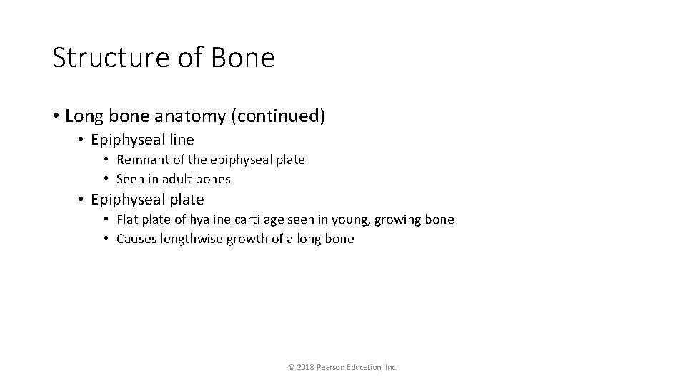 Structure of Bone • Long bone anatomy (continued) • Epiphyseal line • Remnant of