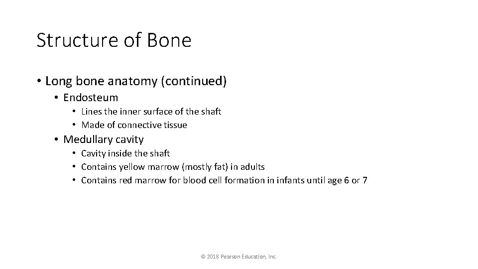Structure of Bone • Long bone anatomy (continued) • Endosteum • Lines the inner
