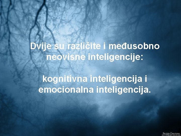 Dvije su različite i međusobno neovisne inteligencije: kognitivna inteligencija i emocionalna inteligencija. 