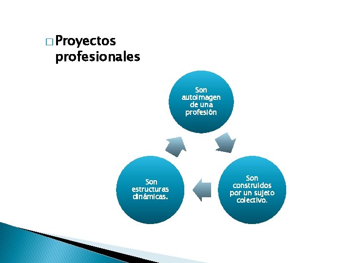 � Proyectos profesionales Son autoimagen de una profesión Son estructuras dinámicas. Son construidos por