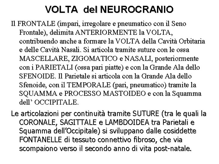 VOLTA del NEUROCRANIO Il FRONTALE (impari, irregolare e pneumatico con il Seno Frontale), delimita