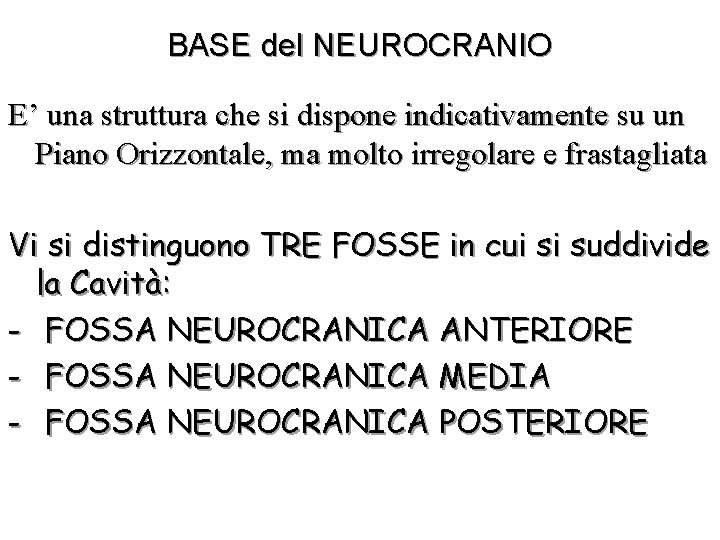 BASE del NEUROCRANIO E’ una struttura che si dispone indicativamente su un Piano Orizzontale,