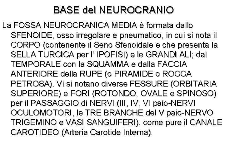 BASE del NEUROCRANIO La FOSSA NEUROCRANICA MEDIA è formata dallo SFENOIDE, osso irregolare e