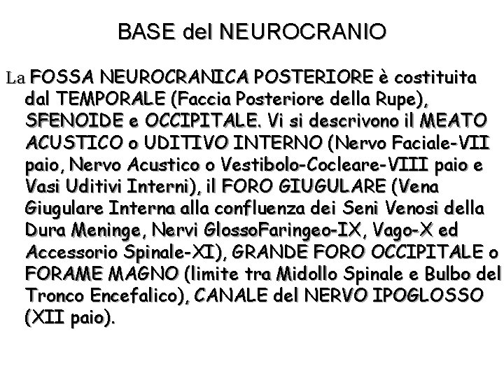 BASE del NEUROCRANIO La FOSSA NEUROCRANICA POSTERIORE è costituita dal TEMPORALE (Faccia Posteriore della