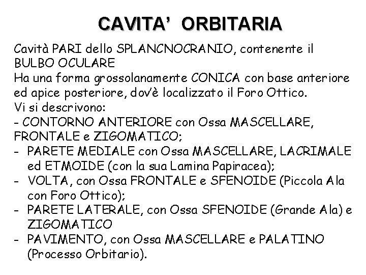 CAVITA’ ORBITARIA Cavità PARI dello SPLANCNOCRANIO, contenente il BULBO OCULARE Ha una forma grossolanamente