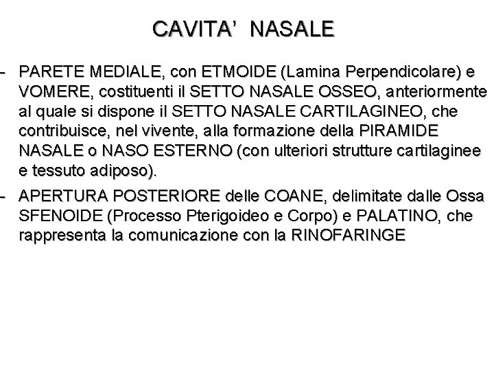 CAVITA’ NASALE - PARETE MEDIALE, con ETMOIDE (Lamina Perpendicolare) e VOMERE, costituenti il SETTO