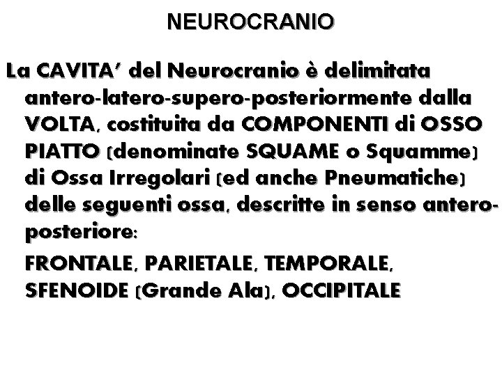 NEUROCRANIO La CAVITA’ del Neurocranio è delimitata antero-latero-supero-posteriormente dalla VOLTA, costituita da COMPONENTI di