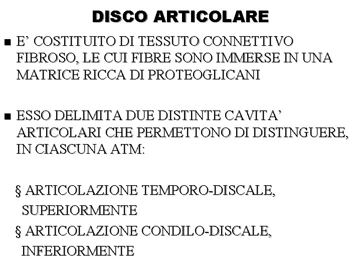 DISCO ARTICOLARE E’ COSTITUITO DI TESSUTO CONNETTIVO FIBROSO, LE CUI FIBRE SONO IMMERSE IN