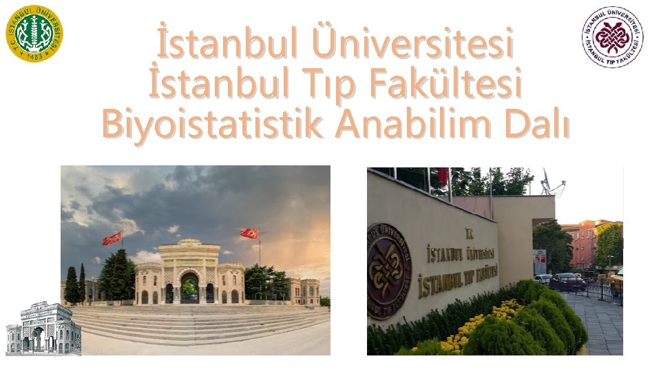 İstanbul Üniversitesi İstanbul Tıp Fakültesi Biyoistatistik Anabilim Dalı 