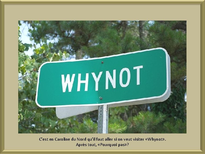 C’est en Caroline du Nord qu’il faut aller si on veut visiter «Whynot» .