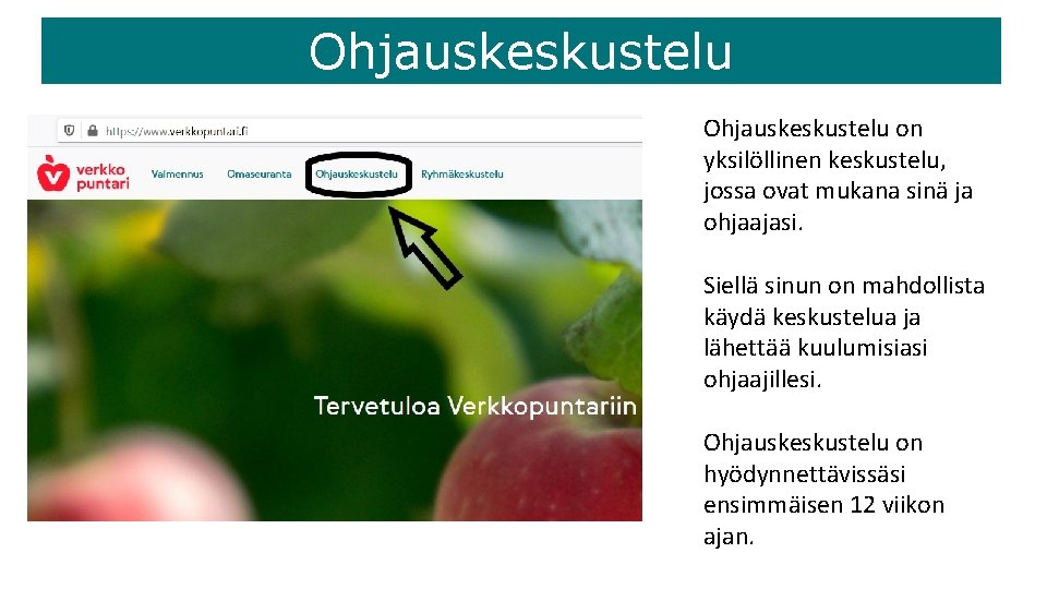 Ohjauskeskustelu on yksilöllinen keskustelu, jossa ovat mukana sinä ja ohjaajasi. Siellä sinun on mahdollista