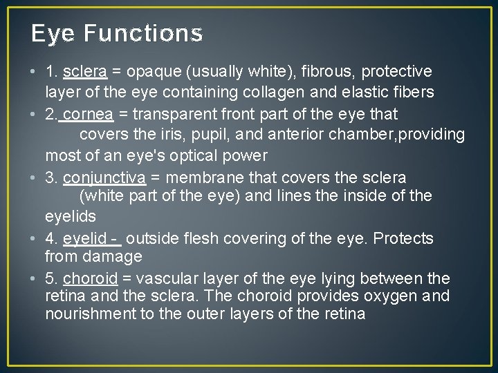 Eye Functions • 1. sclera = opaque (usually white), fibrous, protective layer of the
