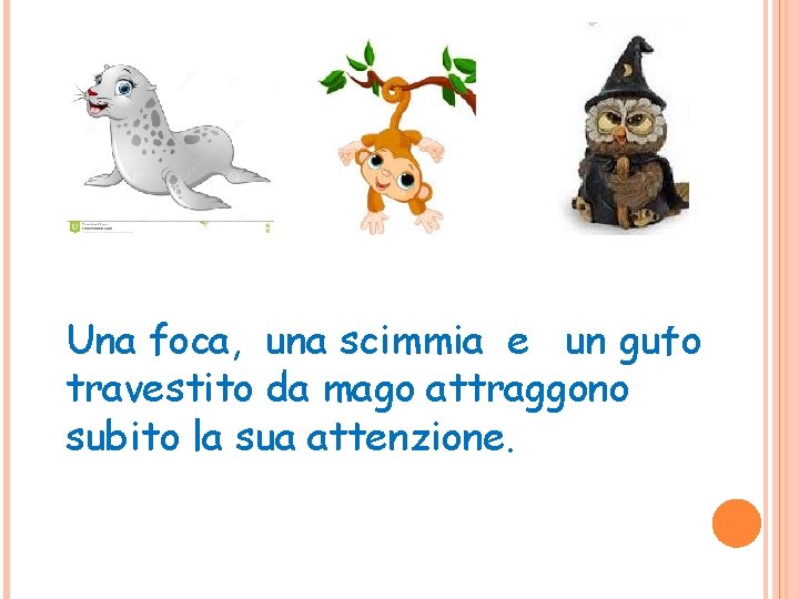 Una foca, una scimmia e un gufo travestito da mago attraggono subito la sua