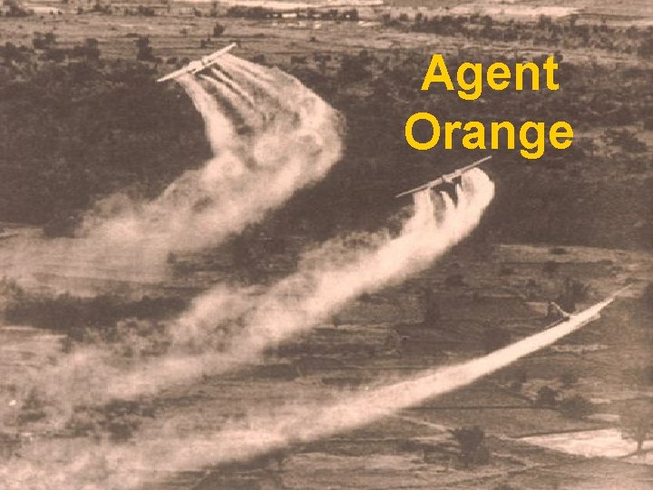 Agent Orange 