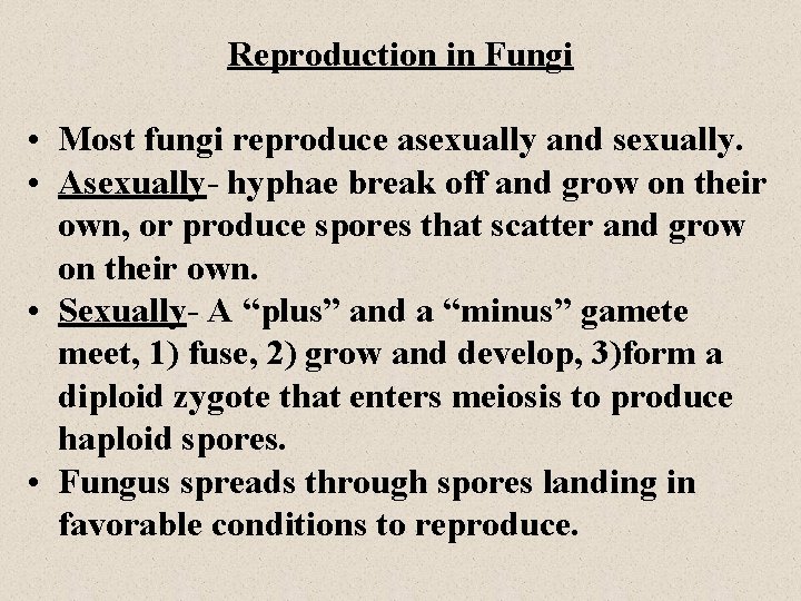 Reproduction in Fungi • Most fungi reproduce asexually and sexually. • Asexually- hyphae break