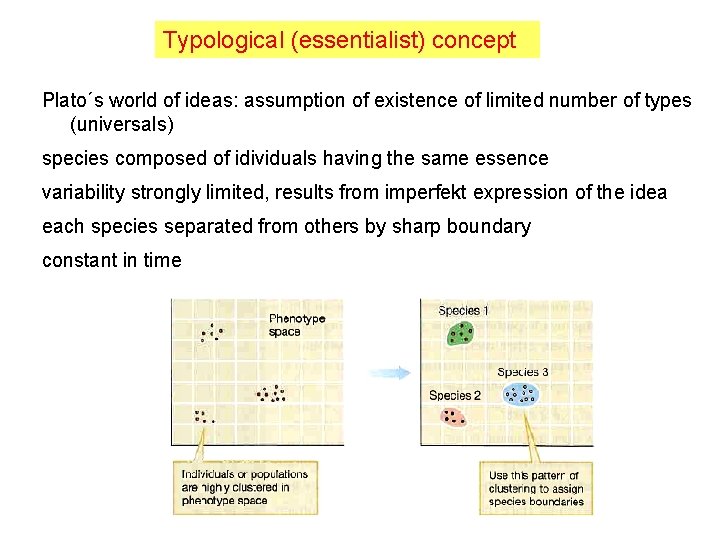 Typological (essentialist) concept Plato´s world of ideas: assumption of existence of limited number of