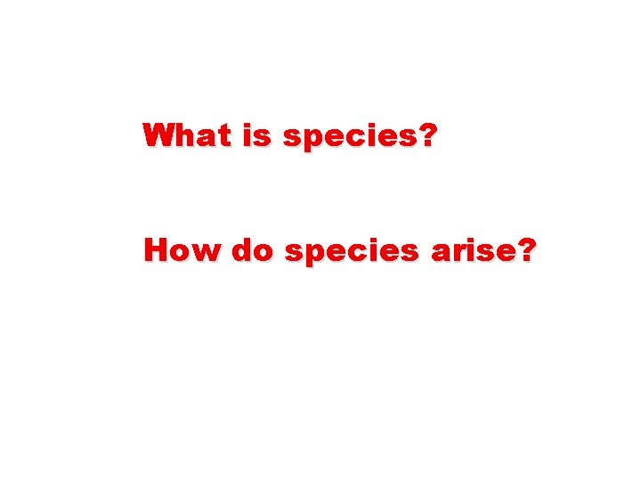 What is species? How do species arise? 