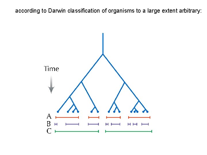 according to Darwin classification of organisms to a large extent arbitrary: 