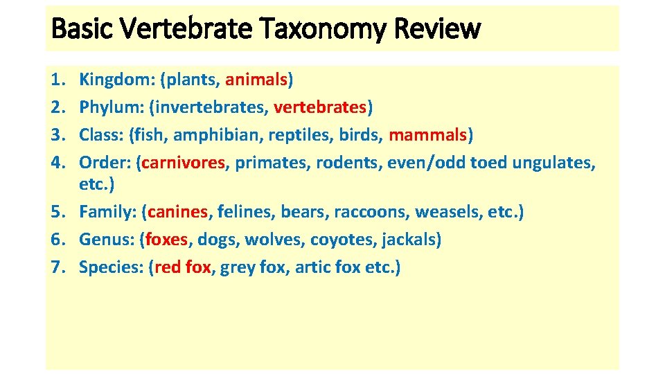 Basic Vertebrate Taxonomy Review 1. 2. 3. 4. Kingdom: (plants, animals) Phylum: (invertebrates, vertebrates)