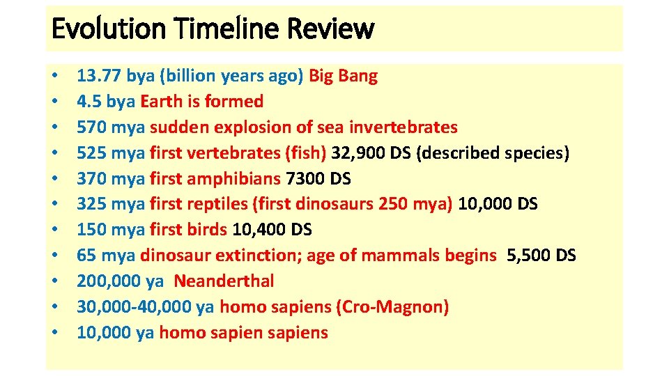 Evolution Timeline Review • • • 13. 77 bya (billion years ago) Big Bang