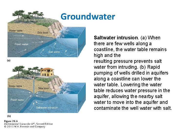 Groundwater Saltwater intrusion. (a) When there are few wells along a coastline, the water