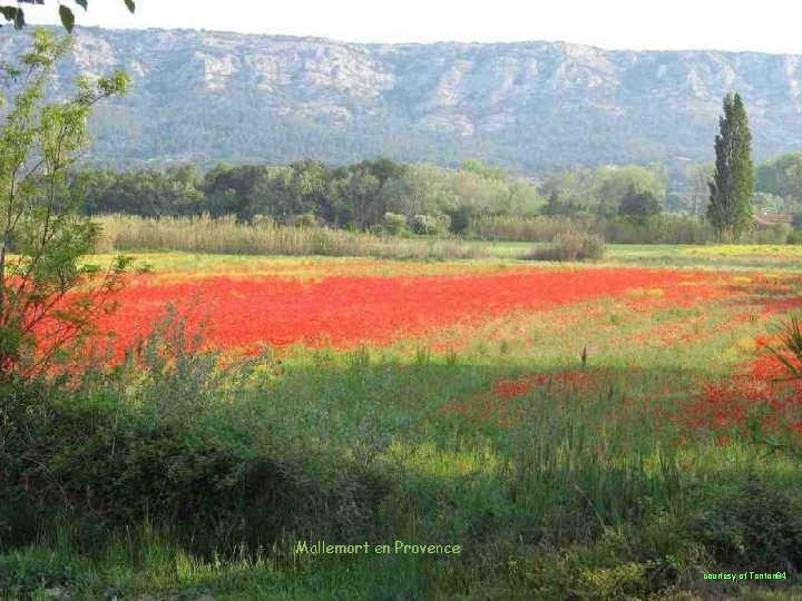 Mallemort en Provence courtesy of Tonton 84 