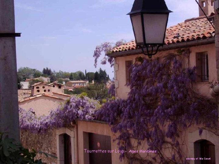 Tourrettes sur Loup - Alpes Maritimes courtesy of Ilda Casati 