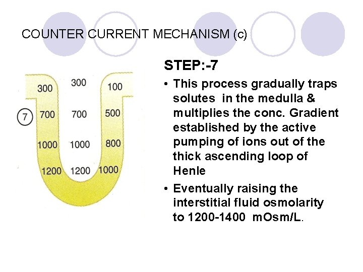 COUNTER CURRENT MECHANISM (c) STEP: -7 • This process gradually traps solutes in the