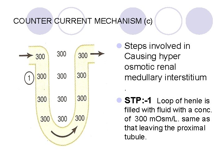 COUNTER CURRENT MECHANISM (c) l Steps involved in Causing hyper osmotic renal medullary interstitium.