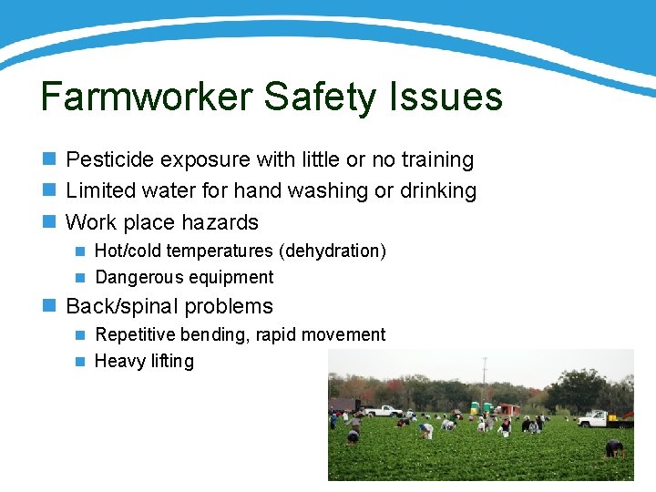 Farmworker Safety Issues n Pesticide exposure with little or no training n Limited water