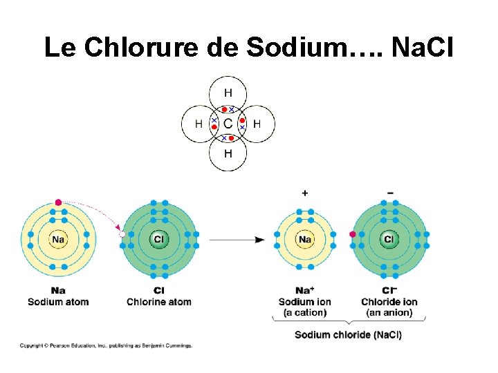 Le Chlorure de Sodium…. Na. Cl 