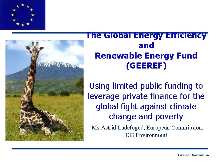 The Global Energy Efficiency and Renewable Energy Fund (GEEREF) Using limited public funding to