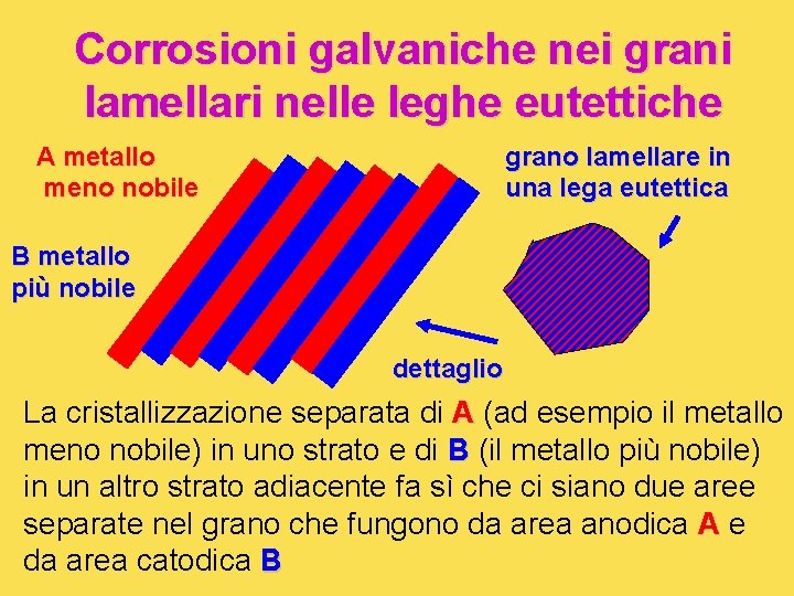 Corrosioni galvaniche nei grani lamellari nelle leghe eutettiche A metallo meno nobile grano lamellare