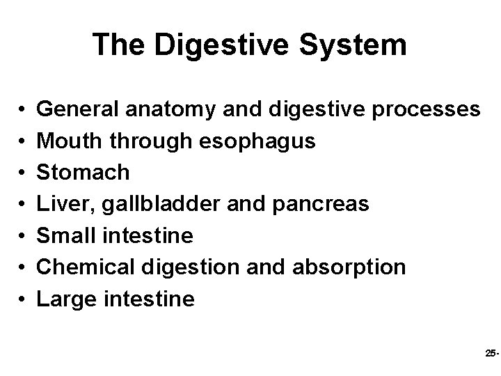 The Digestive System • • General anatomy and digestive processes Mouth through esophagus Stomach