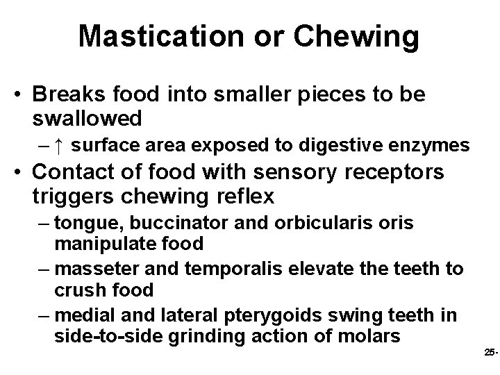 Mastication or Chewing • Breaks food into smaller pieces to be swallowed – ↑